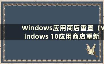 Windows应用商店重置（Windows 10应用商店重新安装）